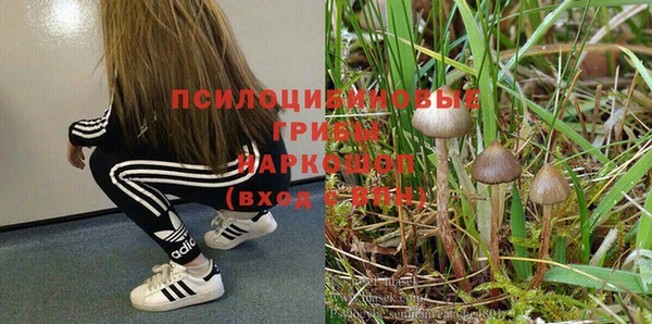 ГАЛЛЮЦИНОГЕННЫЕ ГРИБЫ Армянск